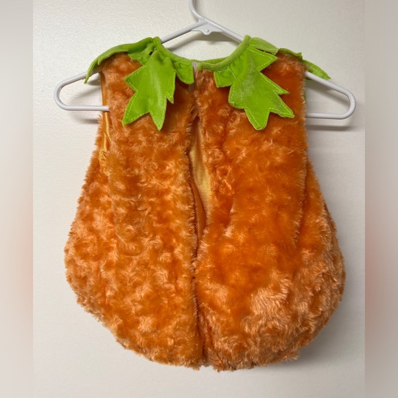 Pumpkin toddler costume/Med/18 mo old wore 2h/Hat/velcro/elastic/plush/non smo - Picture 5 of 15